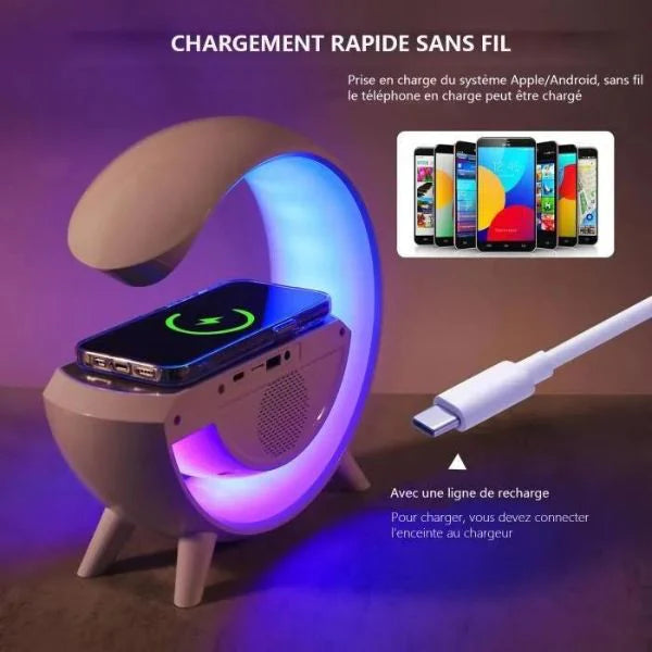 Support de charge 6en 1